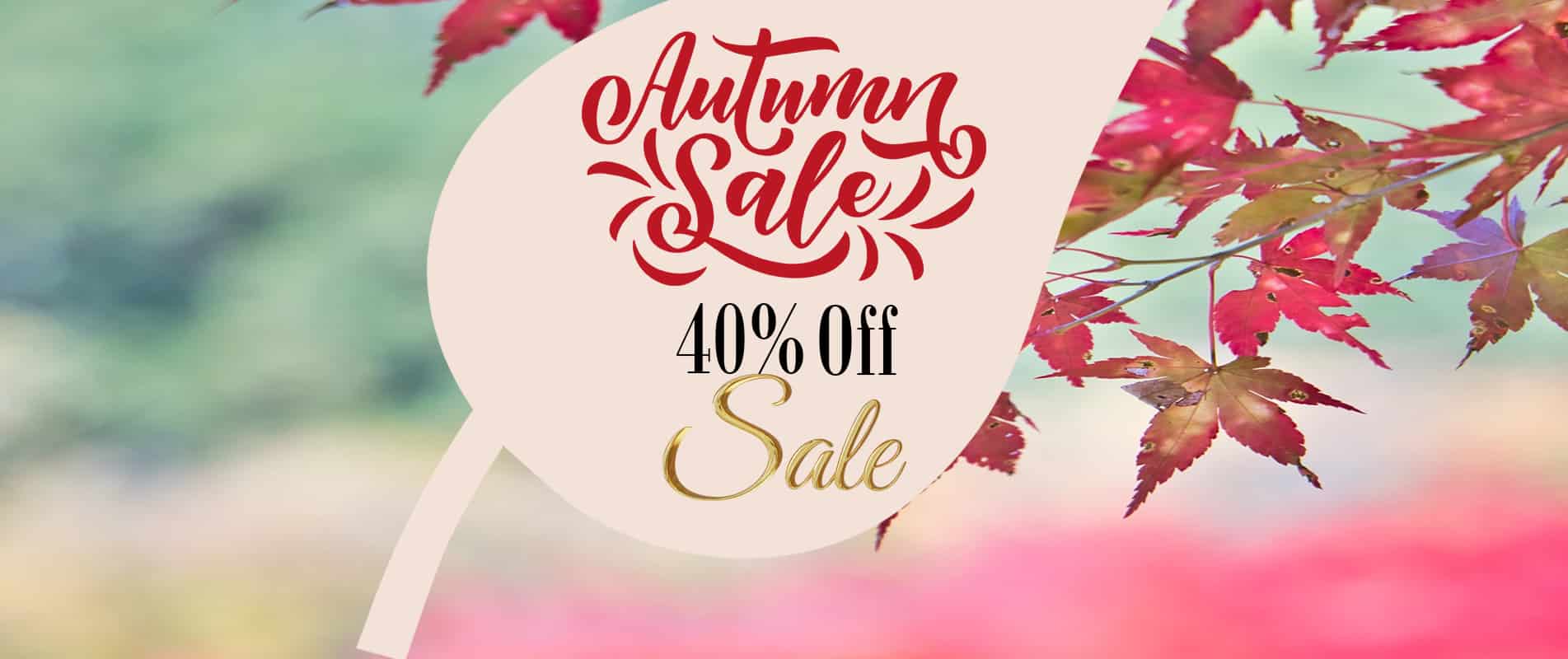 Autumn 2026 Special Deals
